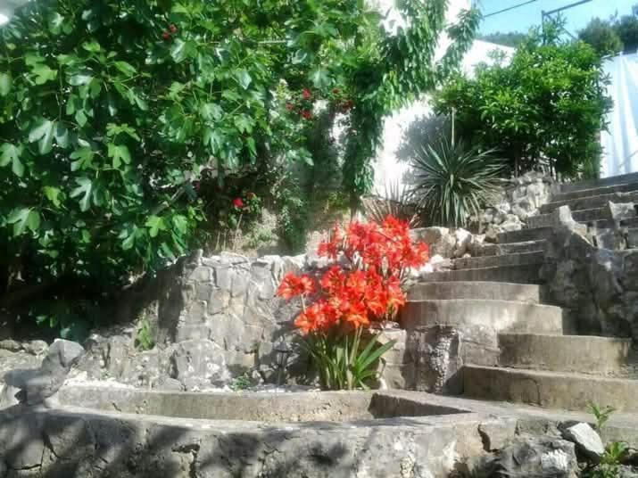 Apartman Sea View